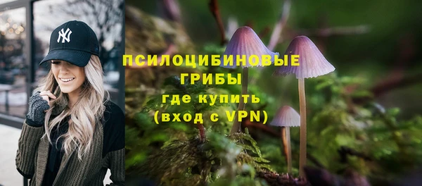 соль ск Алзамай