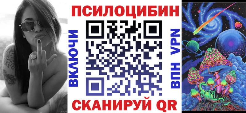 как найти   Спасск-Рязанский  Псилоцибиновые грибы Cubensis 